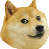 Doge-head_normal