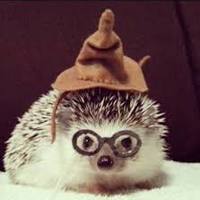 Hedgie_potter_normal