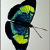 profile_photo