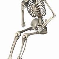 Skele_normal