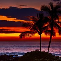 24441-travel_hawaii_orange_sunset_wallpaper_ce466862-f966-4cee-a163-a774e481cbc1_normal
