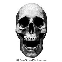 Skull-screaming-isolated-in-black-background-3d-illustration-skull-isolated-in-an-emty-background--stock-illustrations_csp70002955_normal