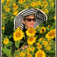Sinflower_pic_edited_by_gina_normal